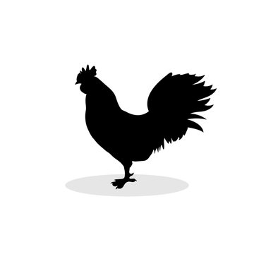 Cock black silhouette pattern bird background