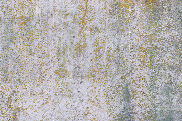 Wall fragment with scratches and cracks