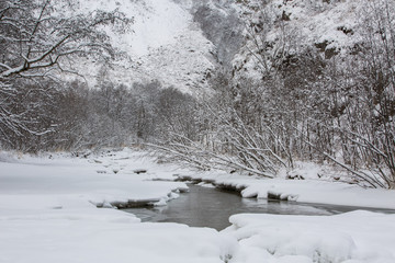 Russia, the Caucasus Mountains, Kabardino-Balkaria. Early in the morning all the trees in the woods covered with frost due to frost.