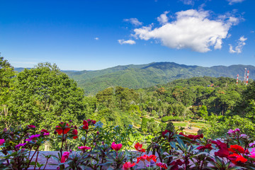 Flower bed forest mountain and blue sky