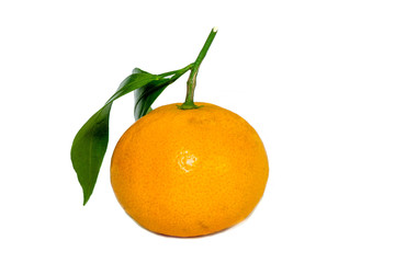 tangerines on a white
