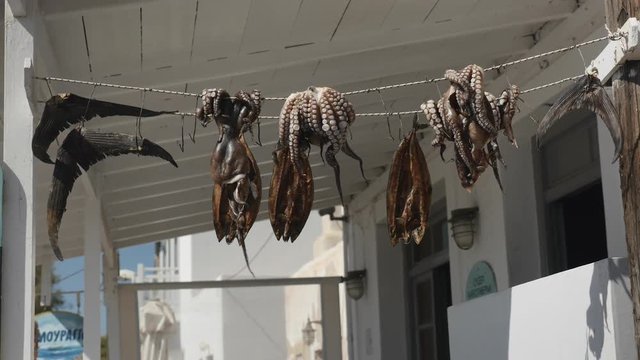 Octopus hanging to dry on a line outside small restaurant, Greece.