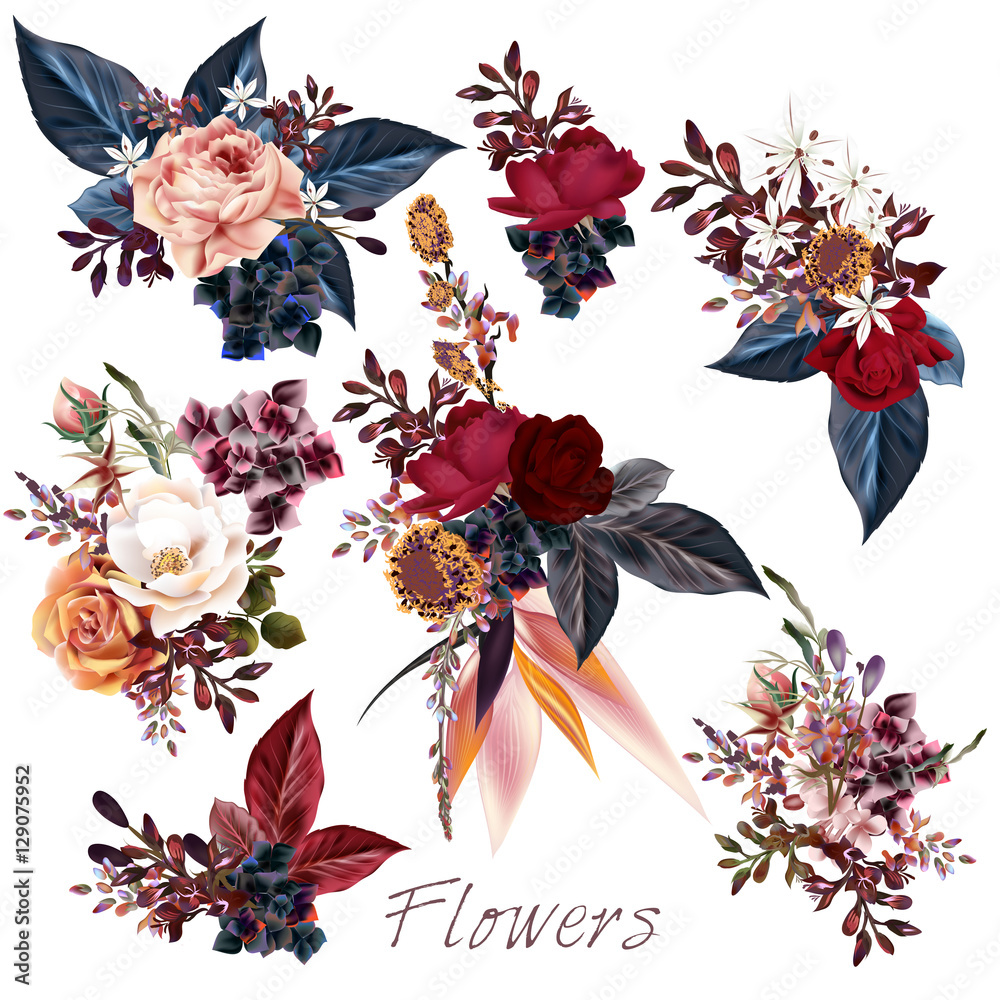 Poster collection of vector roses and leafs for design