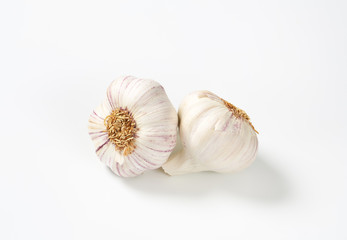 Obraz na płótnie Canvas Fresh garlic bulbs