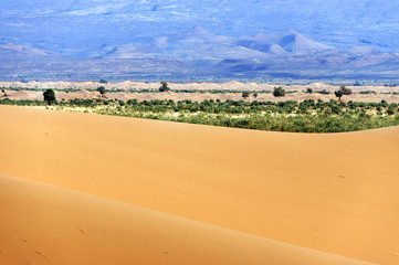 Sand dunes in Sahara Desert, Africa