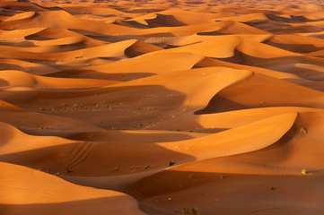Fototapeta na wymiar Sahara Desert, Africa