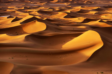 Fototapeta na wymiar Sahara Desert, Africa
