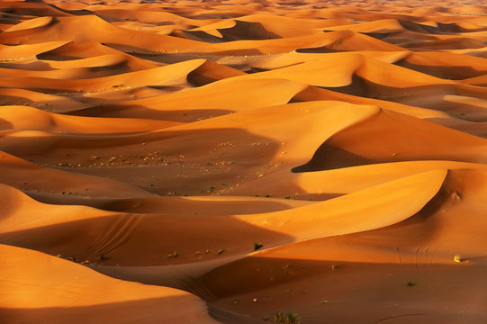 Sand dunes in Sahara Desert, Africa