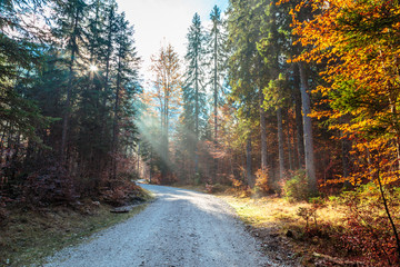 Fototapeta na wymiar trekking path in an autumn day in the alps
