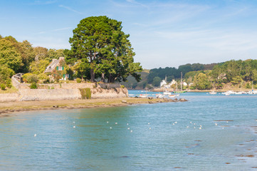 Ufer des Aber Wrach mit Haus und Baum, Bretagne, Frankreich