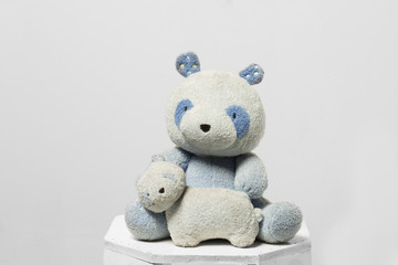The couple bears hugging isolated on grey background.