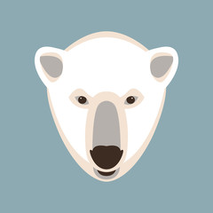 Polar bear head vector illustration  flat style