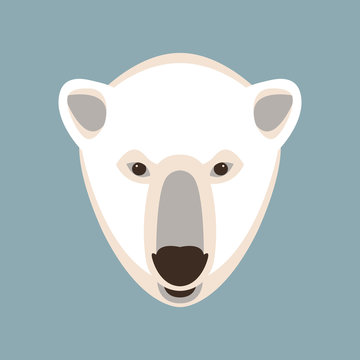 Polar bear head vector illustration  flat style