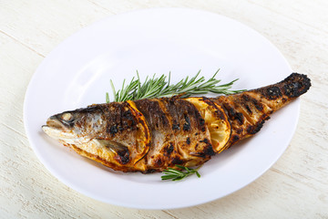 grilled trout