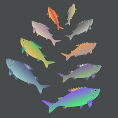 Set fish on a dark background. Vector illustration.