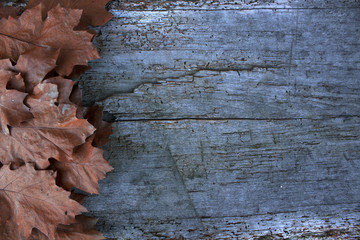 Fallen leafs in autumn. Space to write. Wooden table. Background