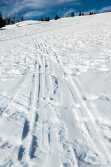 Fototapeta na wymiar ski track in ski resort area.