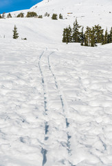 ski track in ski resort area.