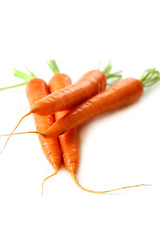 Roots of carrots on white background