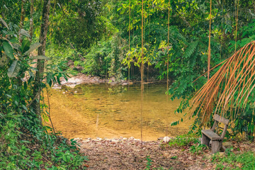 Outdoor bench near a small river in Thai dark tropical forest, Mu Koh Chang National Park, Chang island, Thailand. Natural background. Soft Focus.