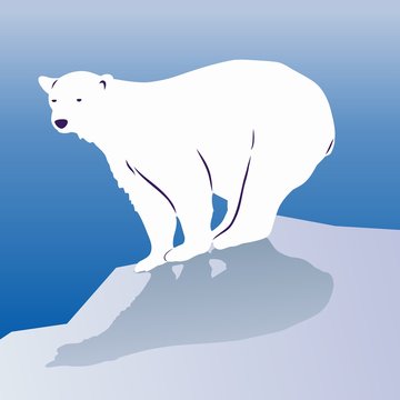 silhouette of a polar bear. vector drawing