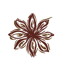Star anise. Vector botanical illustration with pen and ink. Spice. Isolated vintage image on a white background. Hand-drawn sketch.