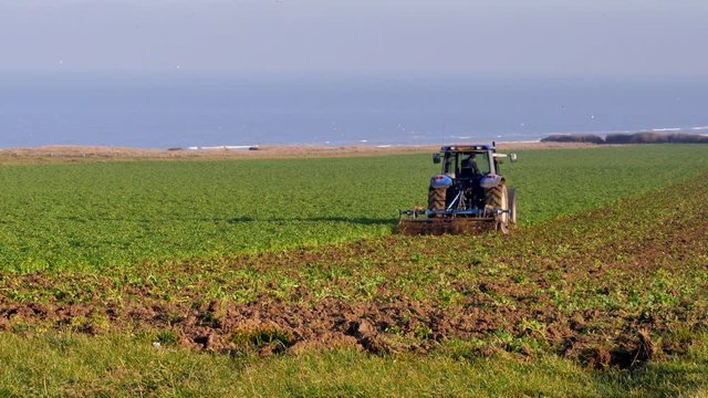 labourer(video 4k)
