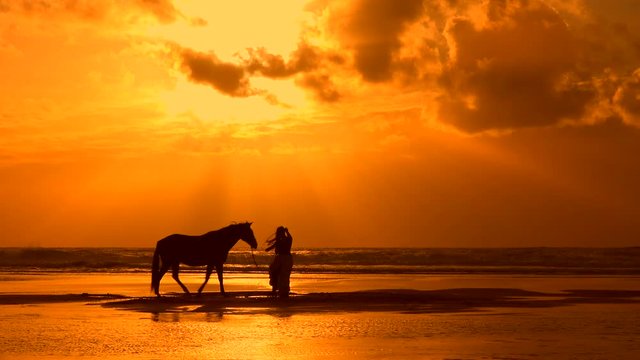 Rider raising his horse on the ocean beach
