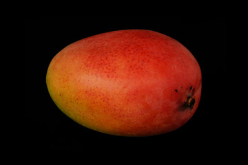 Mango of red color on a black background