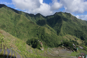 Rizi&egrave;res en terrasse de Batad, Luzon, Philippines