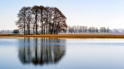 W Dolinie Narwi © podlaski49