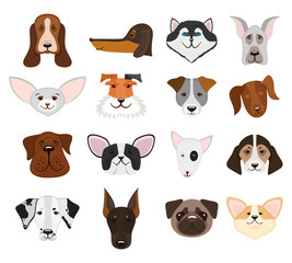 Obraz premium Dog and puppy heads set vector illustration