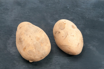 Bio Kartoffeln ungewaschen