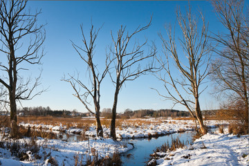 Zima nad rzeką © Mariusz Stoszewski