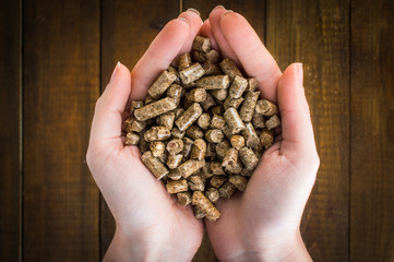Wood pellets in hand