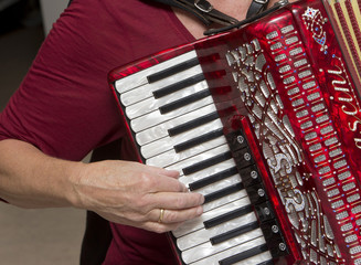 Accordion. Playing on the accordion. Making music. Musician. 