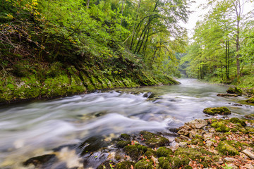 Mountain river Radovna in the Vintgar gorge, a natural Triglav national Park, Slovenia.