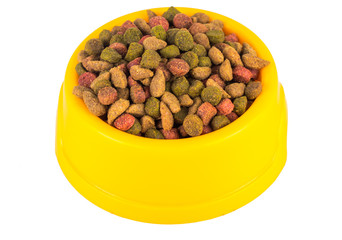 Cat food in bowl isolated on white