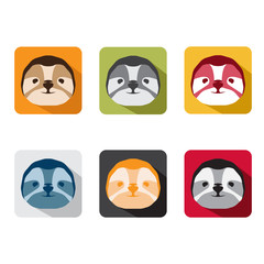 abstract animal sloth flat design vector icons set