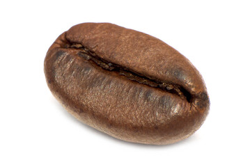 one coffee bean isolated on white background
