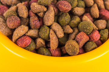 Cat food in bowl isolated on white