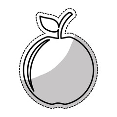 apple fruit icon image vector illustration design 