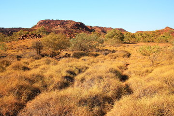 Muruguja national park, Australia