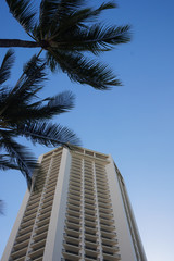 リゾートホテル(ハワイ)
