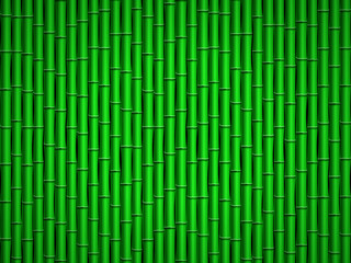 Bamboo pattern