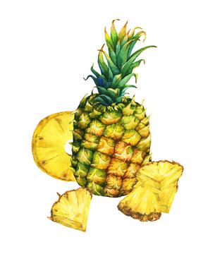Ripe pineapple with green leaves. Watercolor illustration on a white background.