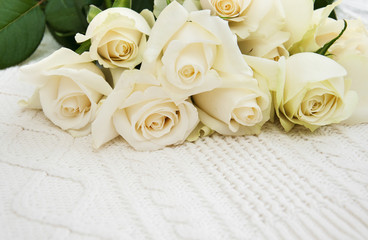 roses on a knitted white background