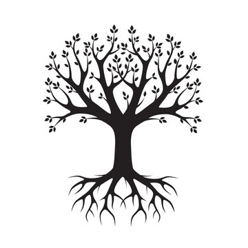 Black vector Tree and Roots. Vector Illustration. Park and Natur