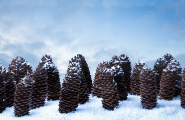 Christmas pine cone still life in snow