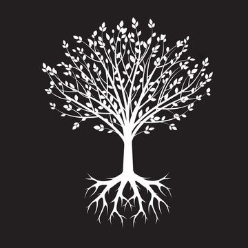 White vector Tree and Roots. Vector Illustration. Park and Natur
